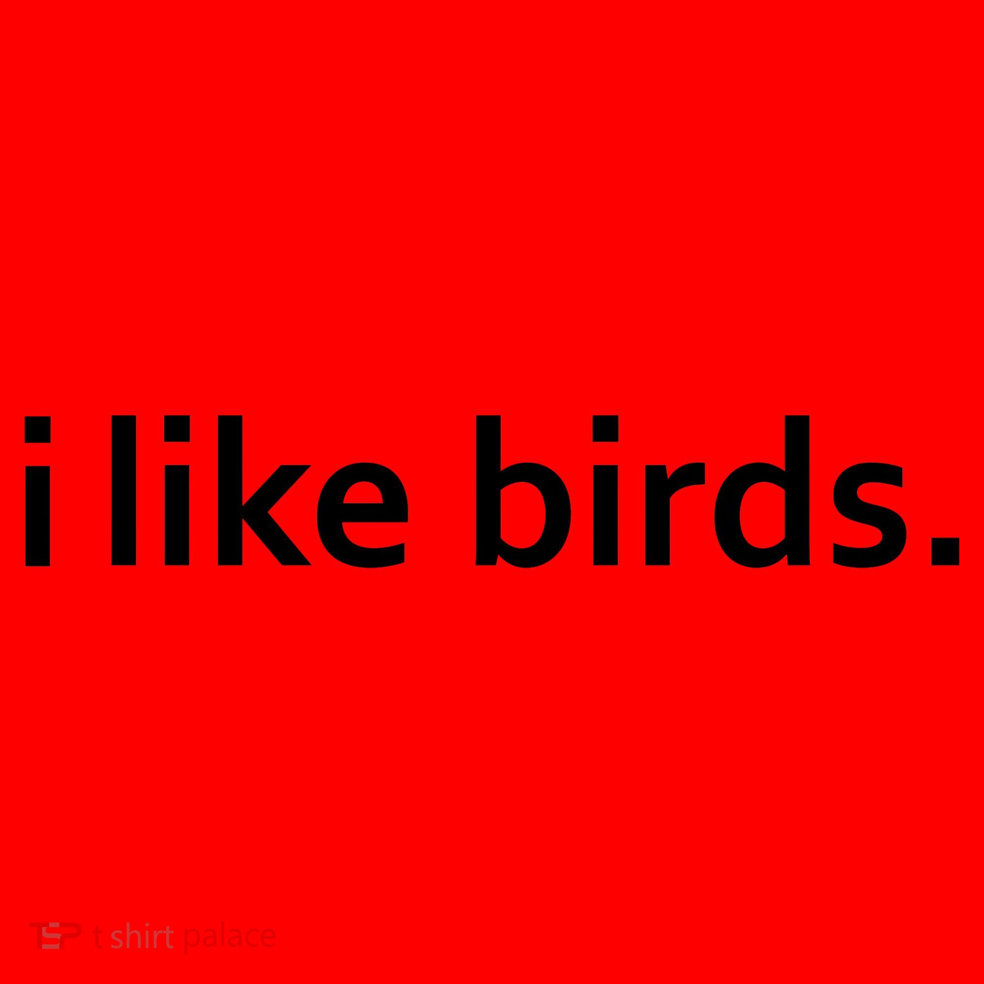 I Like Birds Santa Hat