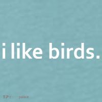 I Like Birds Sueded Cloud Jersey T-Shirt thumb 2
