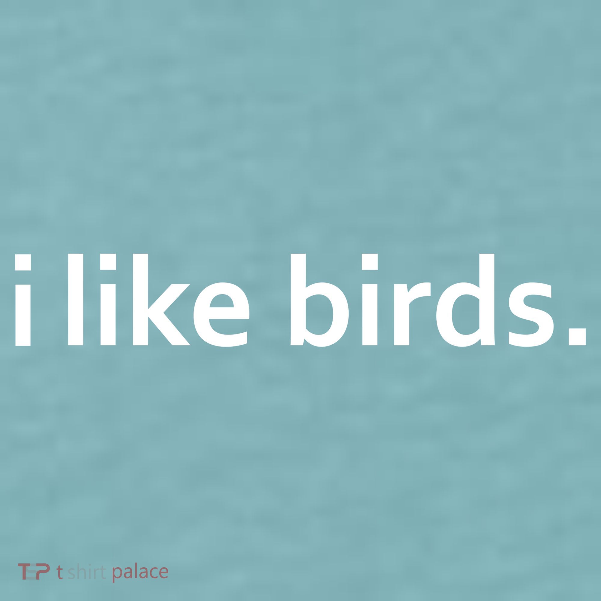 I Like Birds Sueded Cloud Jersey T-Shirt