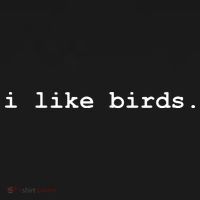I Like Birds Minimalist Funny Visor thumb 3