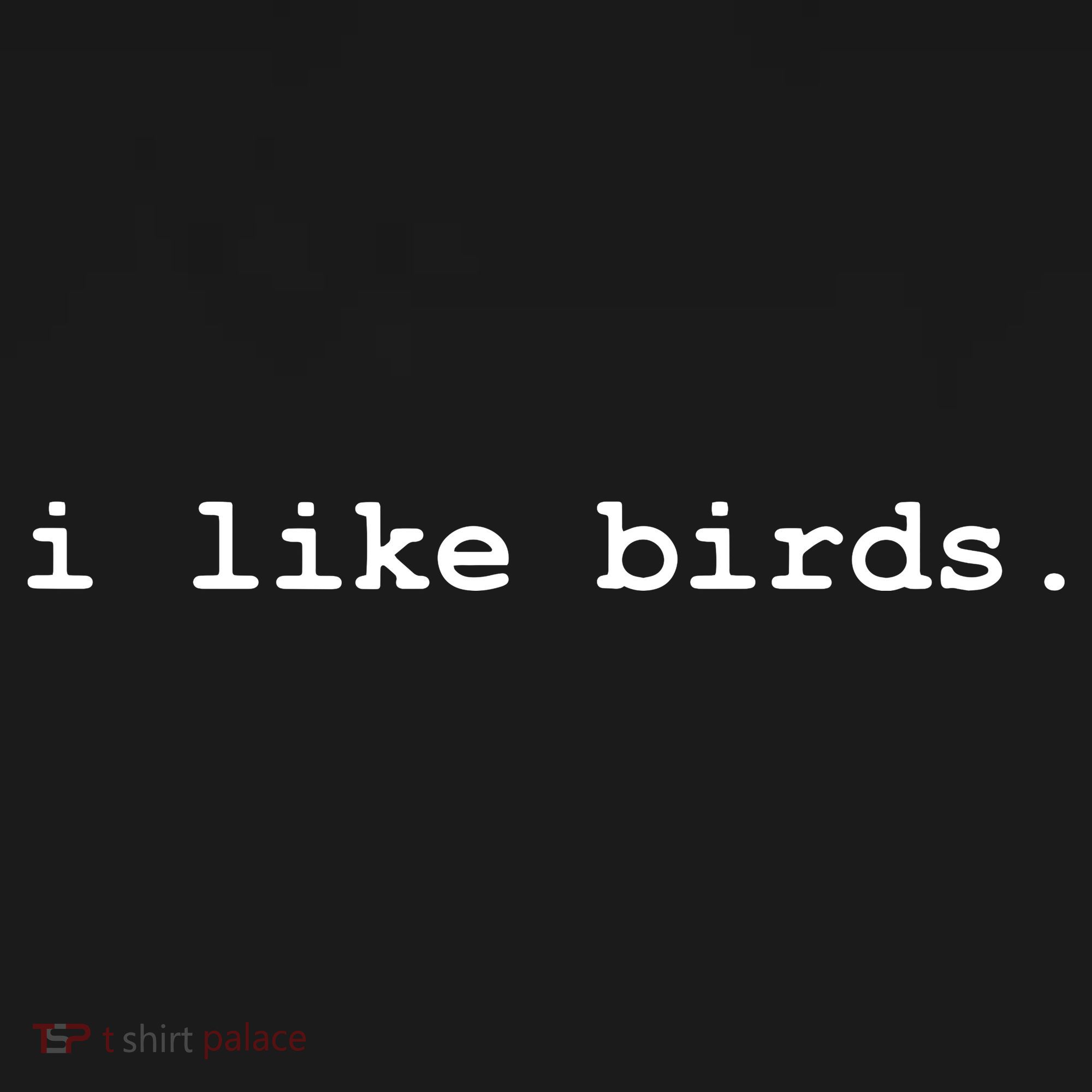 I Like Birds Minimalist Funny Kids Sweatshirt