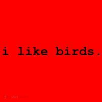 I Like Birds Minimalist Funny Santa Hat thumb 1