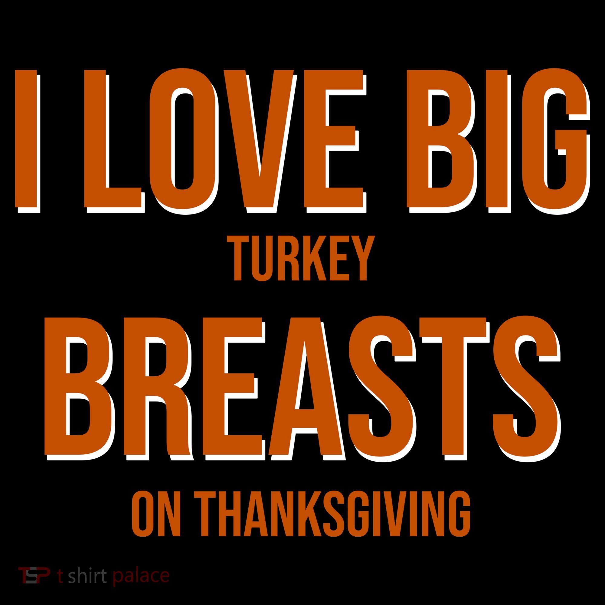 I Love Big Turkey Breasts On Thanksgiving Women's Hoodie