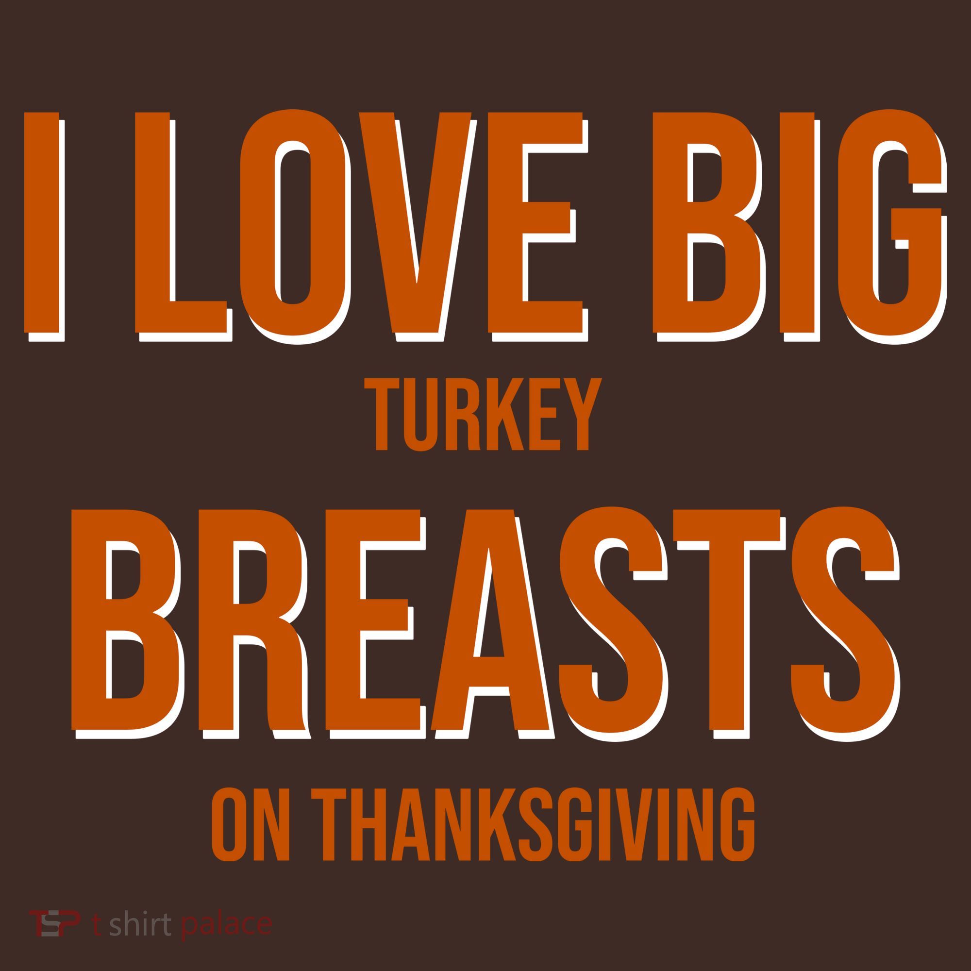 I Love Big Turkey Breasts On Thanksgiving T-Shirt