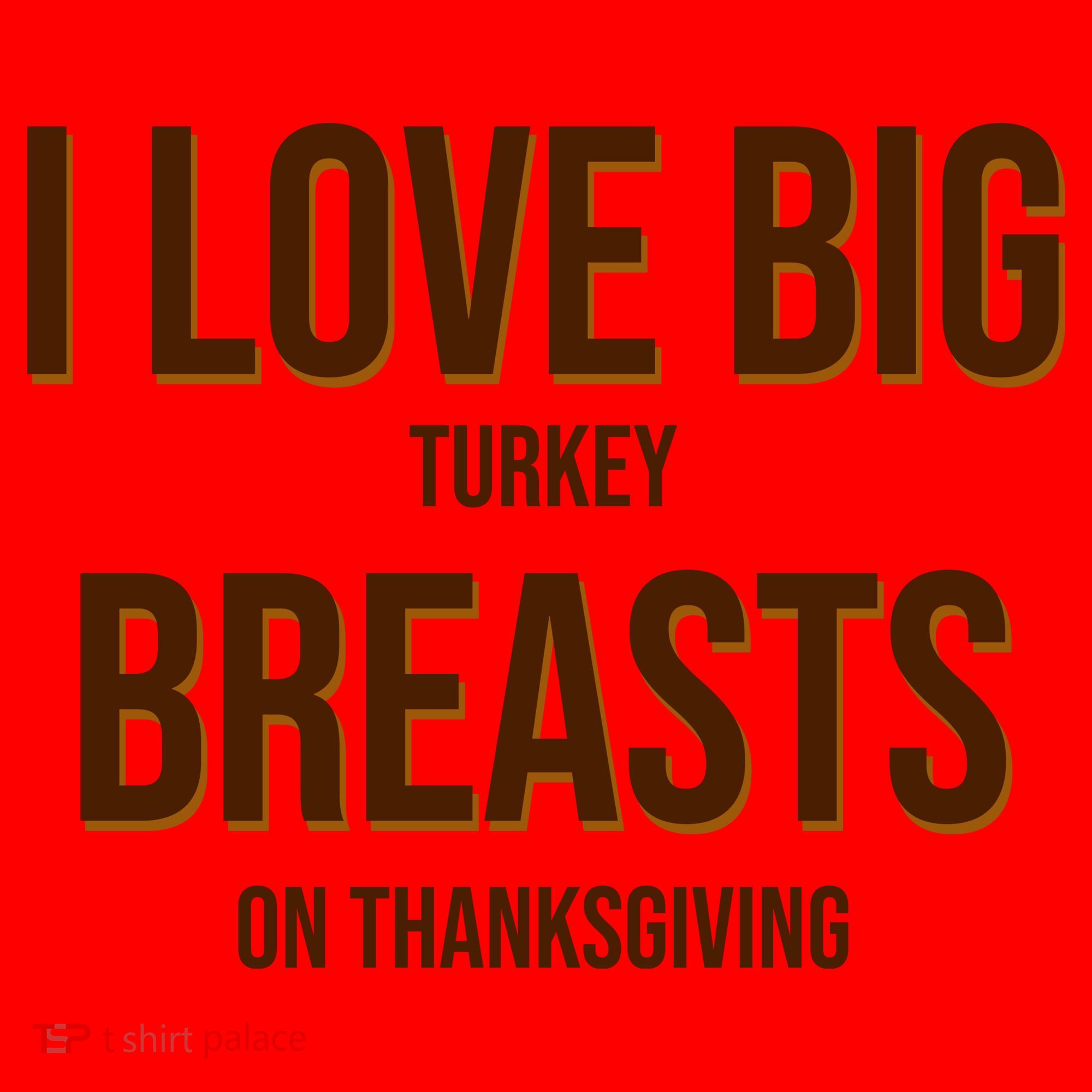 I Love Big Turkey Breasts On Thanksgiving Santa Hat
