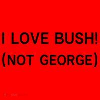I Love Bush Not George Santa Hat thumb 1
