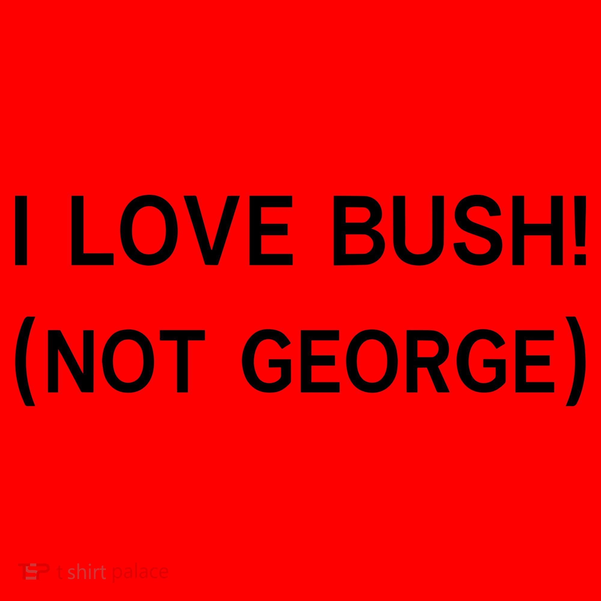 I Love Bush Not George Santa Hat