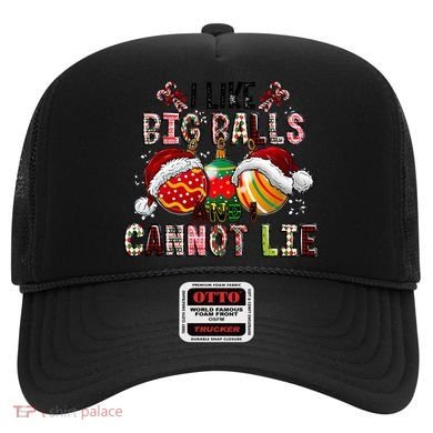 I Like Big Balls And Cannot Lie Funny Christmas Funny Gift Hat