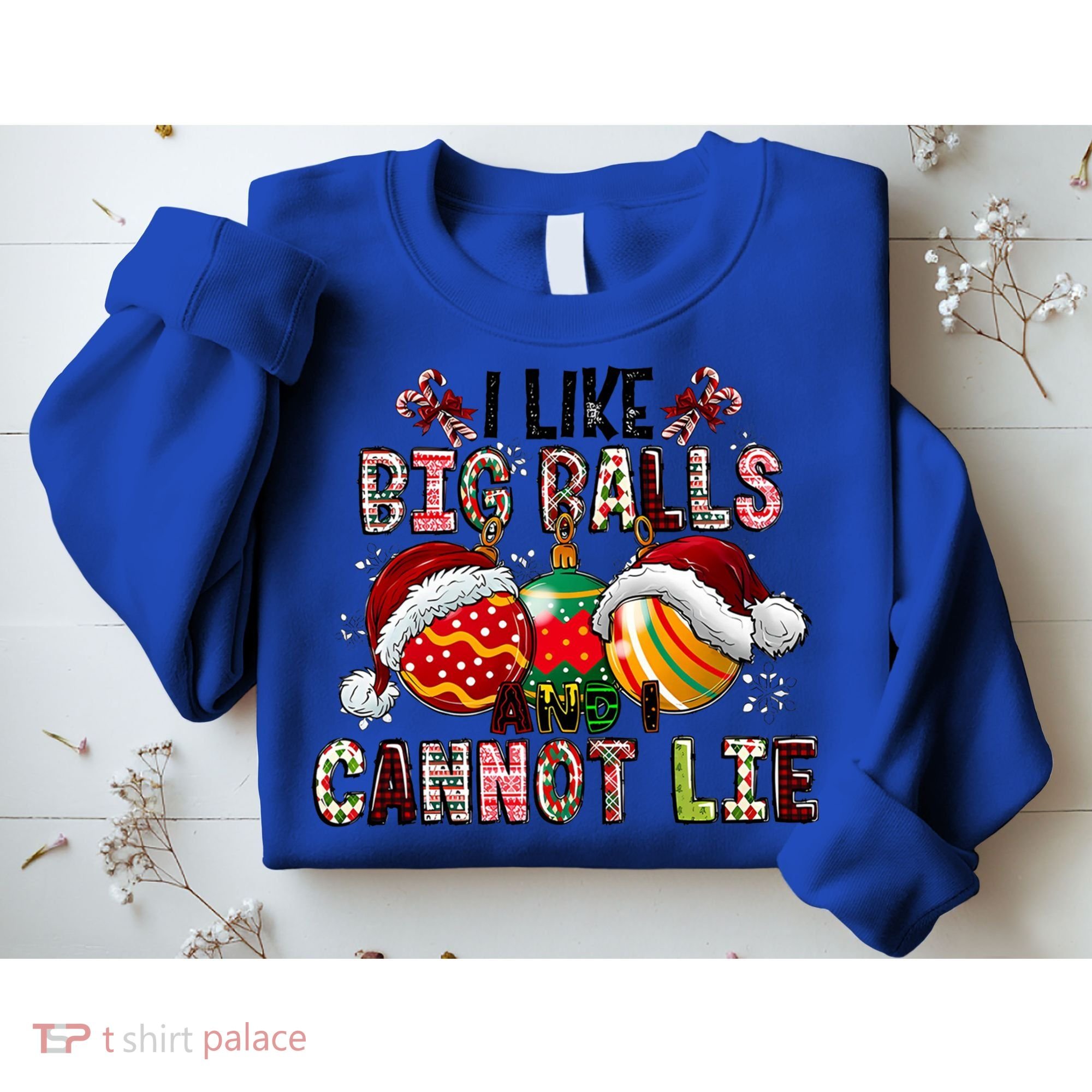 I Like Big Balls And Cannot Lie Funny Christmas Funny Gift Sweatshirt