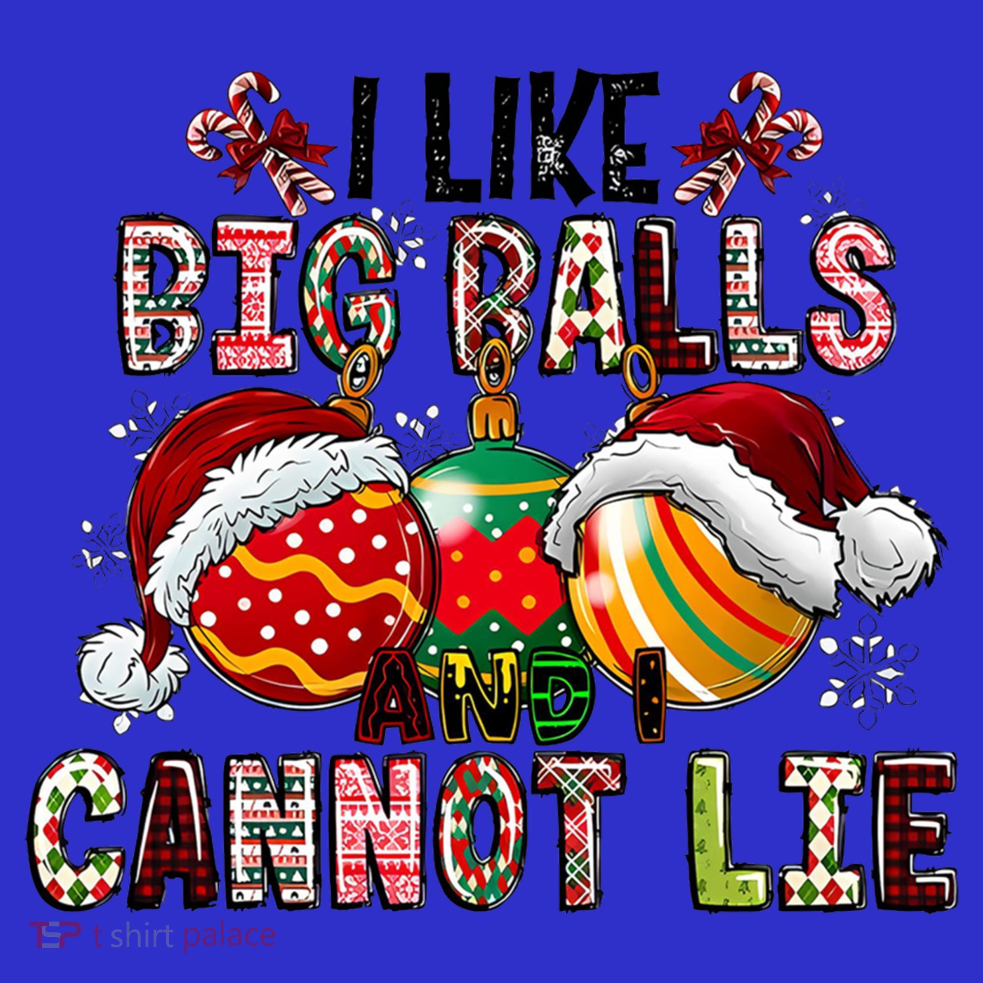 I Like Big Balls And Cannot Lie Funny Christmas Funny Gift Coaster
