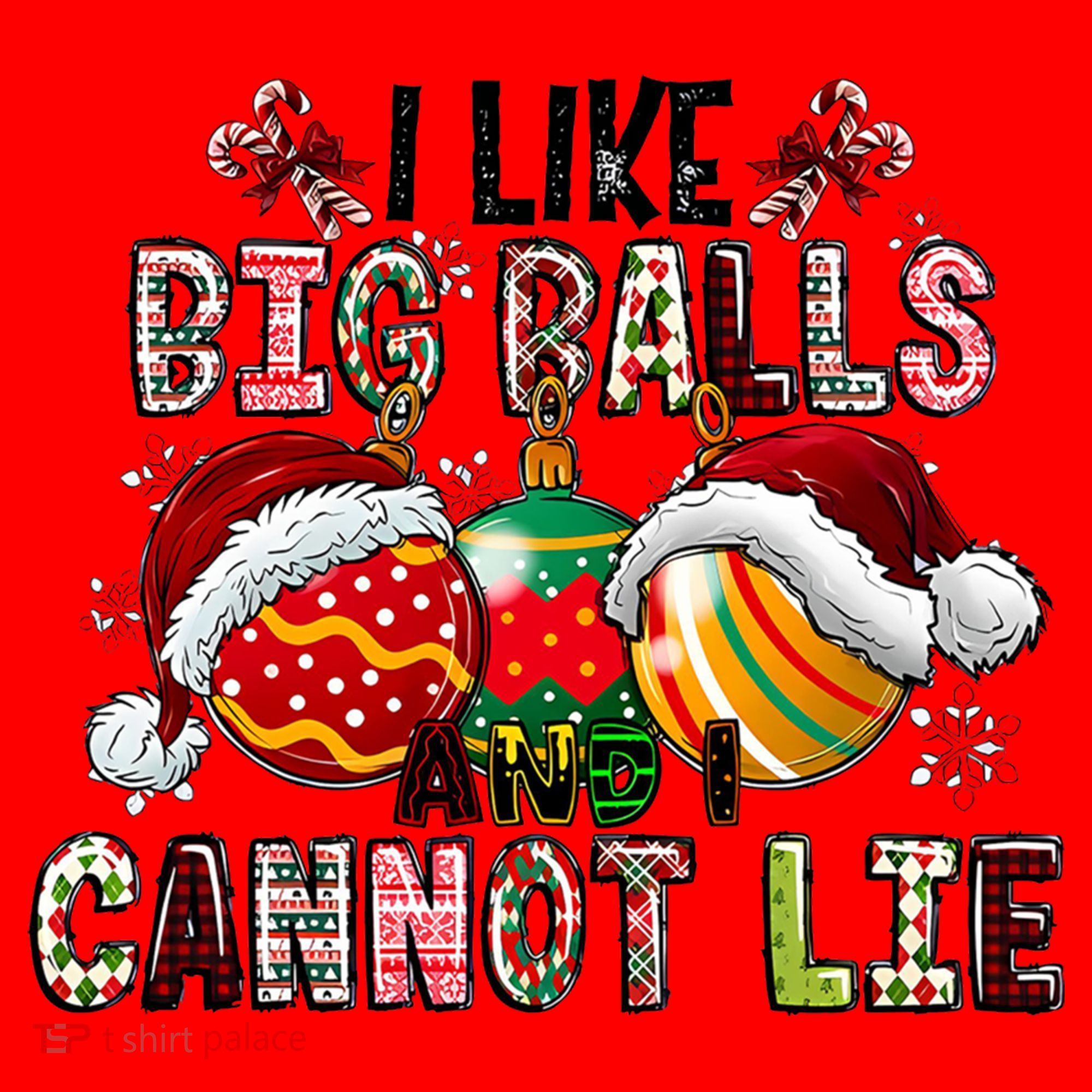 I Like Big Balls And Cannot Lie Funny Christmas Funny Gift Santa Hat