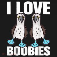 I Love Boobies Blue Footed Boobie Bird Ornament thumb 1