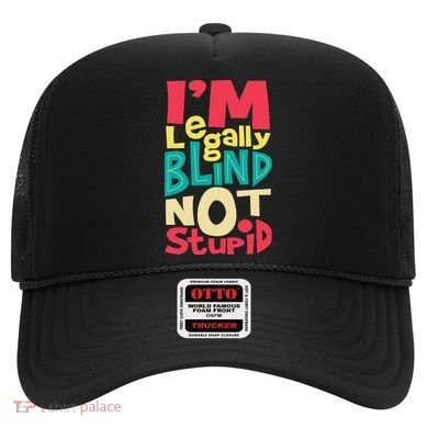 IM Legally Blind Not Stupid Blindness Visually Impaired Hat