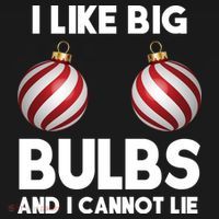 I Like Big Bulbs And I Cannot Lie Funny Christmas Ornament thumb 1