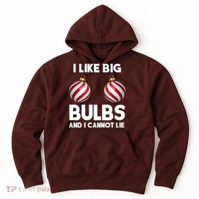 I Like Big Bulbs And I Cannot Lie Funny Christmas Hoodie
