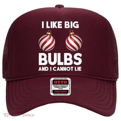 I Like Big Bulbs And I Cannot Lie Funny Christmas Hat