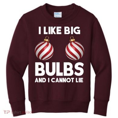 I Like Big Bulbs And I Cannot Lie Funny Christmas Kids Sweatshirt