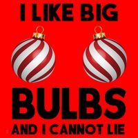 I Like Big Bulbs And I Cannot Lie Funny Christmas Santa Hat thumb 1