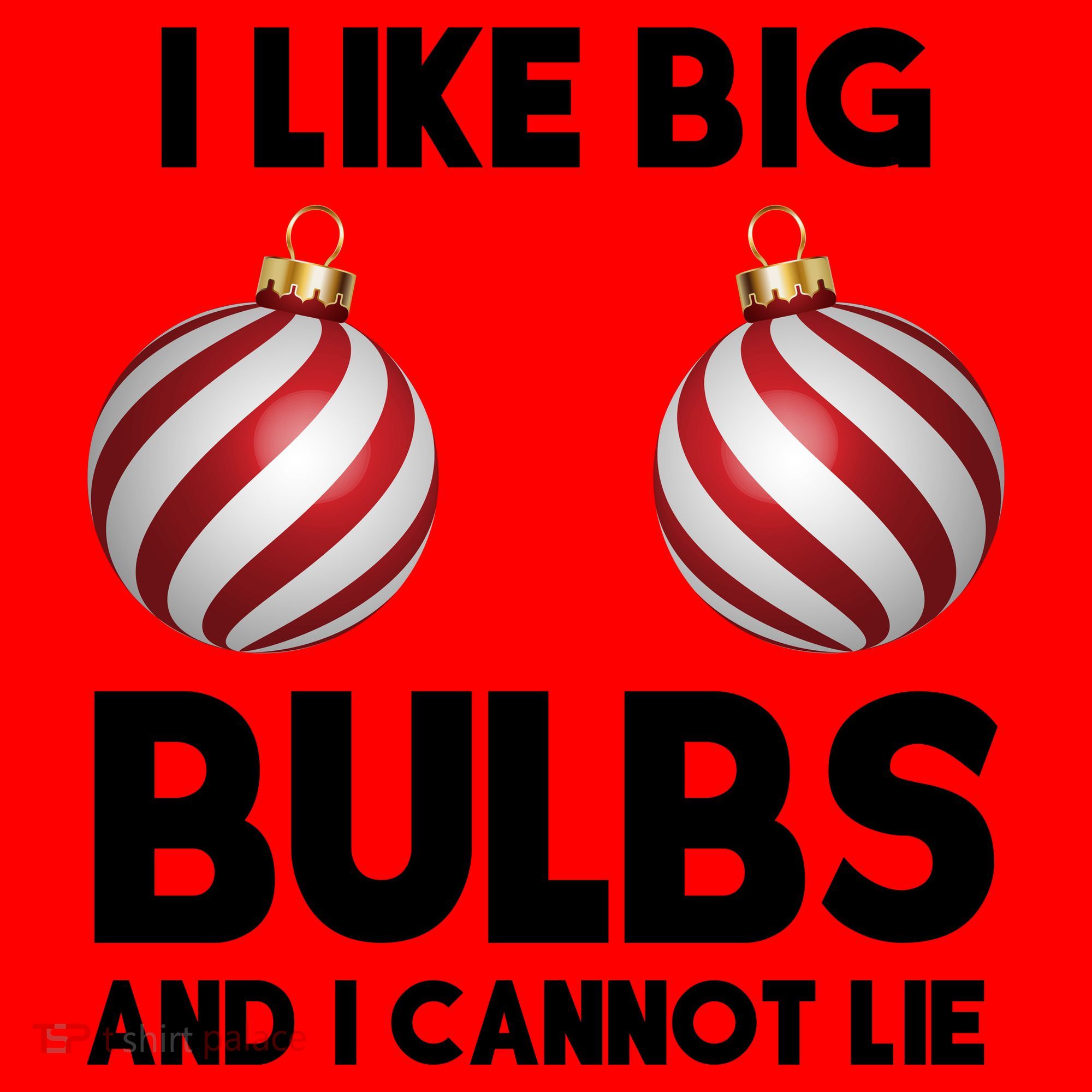 I Like Big Bulbs And I Cannot Lie Funny Christmas Santa Hat