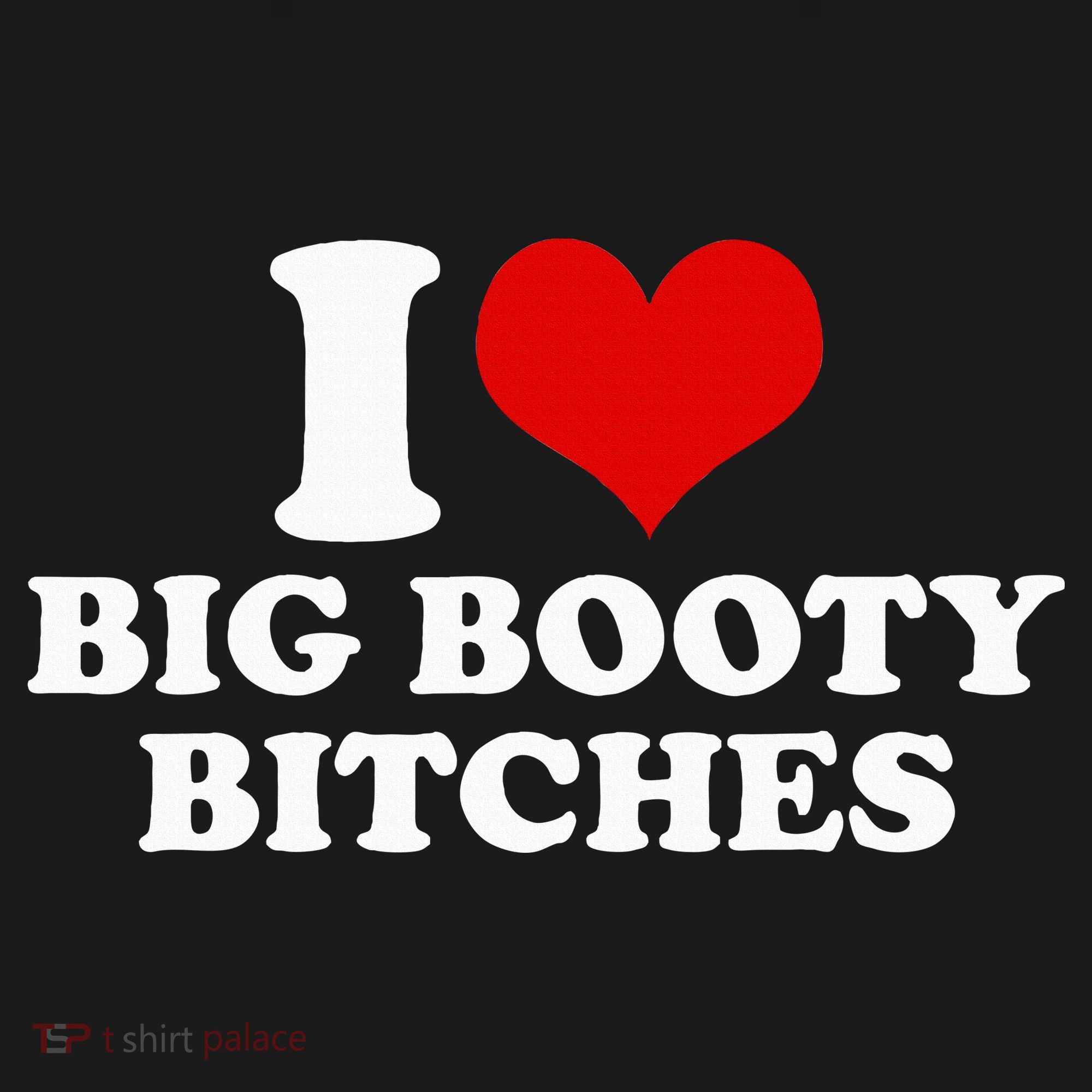 I Love Big Booty Bitches Funny Party Heart Graphic Women's Hoodie