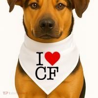 I Love Charlotte Folk USA-Made Doggie Bandana thumb 1