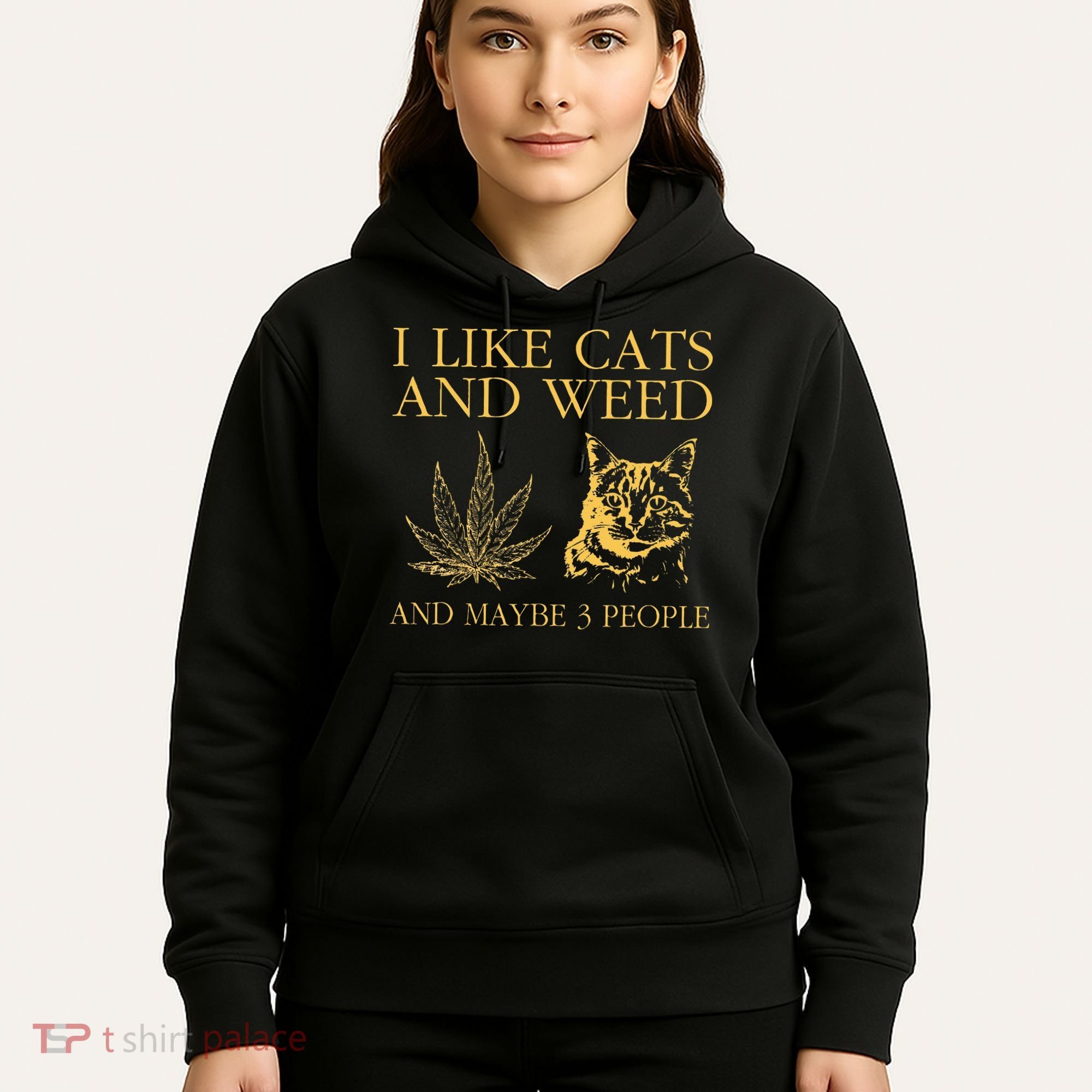 I Like Cats And Weed And Maybe 3 People Hoodie