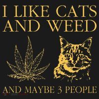 I Like Cats And Weed And Maybe 3 People Hoodie thumb 7