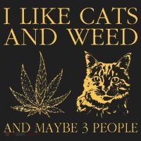 I Like Cats And Weed And Maybe 3 People Tumbler thumb 3