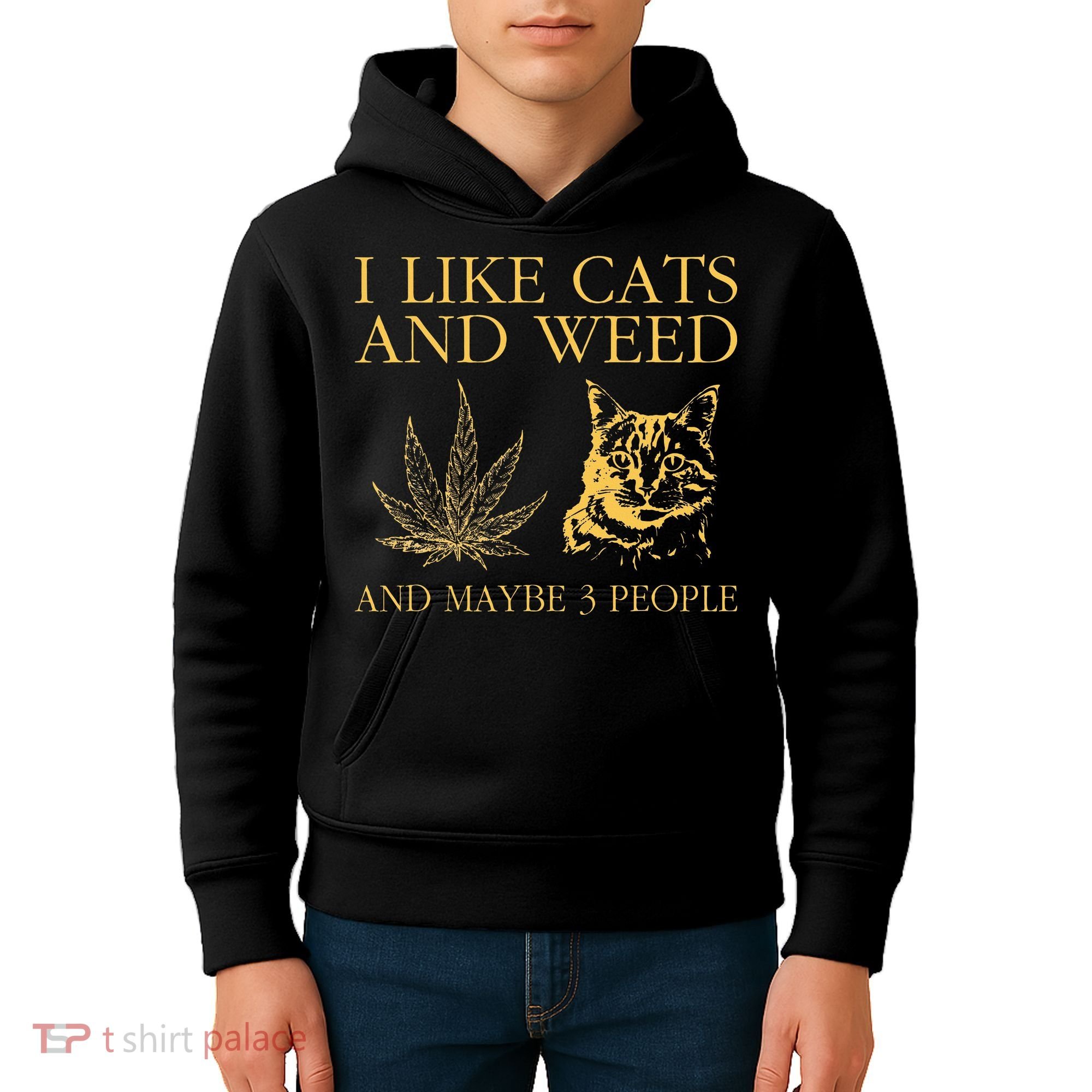 I Like Cats And Weed And Maybe 3 People Kids Hoodie