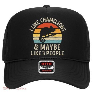 I Like Chameleons And Maybe 3 People Chameleon Lizard Retro Hat