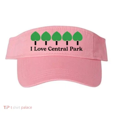 Visor