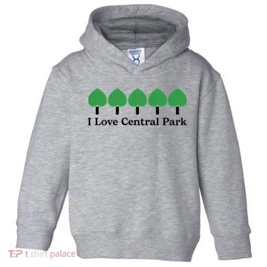 Toddler Hoodie