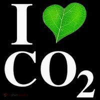 I Love Co2 Carbon Dioxide Climate Change Hoax Global Warming Kids Long Sleeve Shirt thumb 2