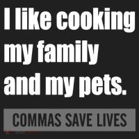 I Like Cooking My Fameaningful Giftmily And My Pets Commas Save Lives Cool Gift Hat thumb 2