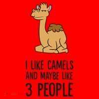 I Like Camels And Maybe Like 3 People Funny Camel Santa Hat thumb 1