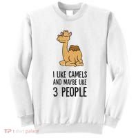 I Like Camels And Maybe Like 3 People Funny Camel Sweatshirt thumb 0