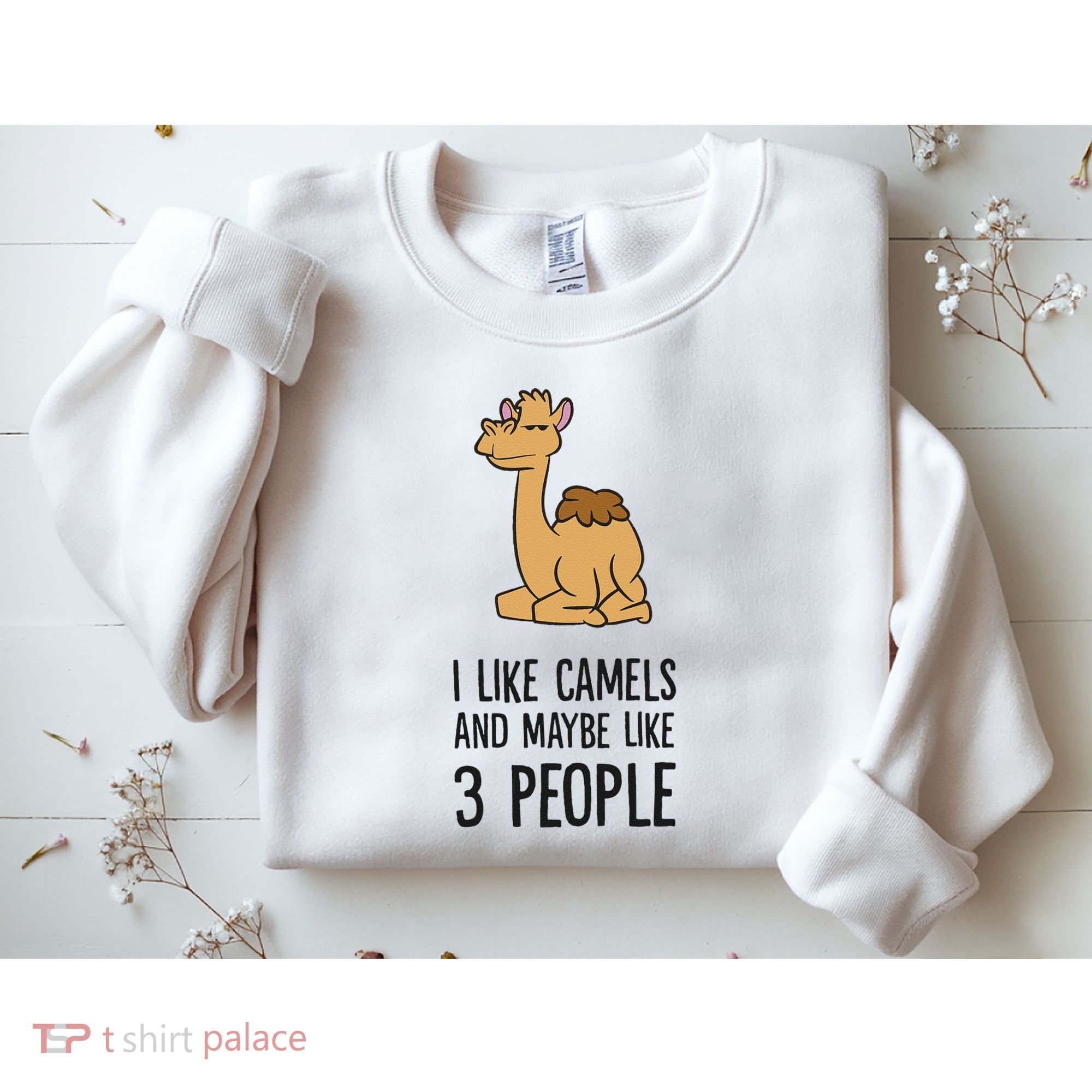 I Like Camels And Maybe Like 3 People Funny Camel Sweatshirt