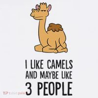 I Like Camels And Maybe Like 3 People Funny Camel Women's Hoodie thumb 2