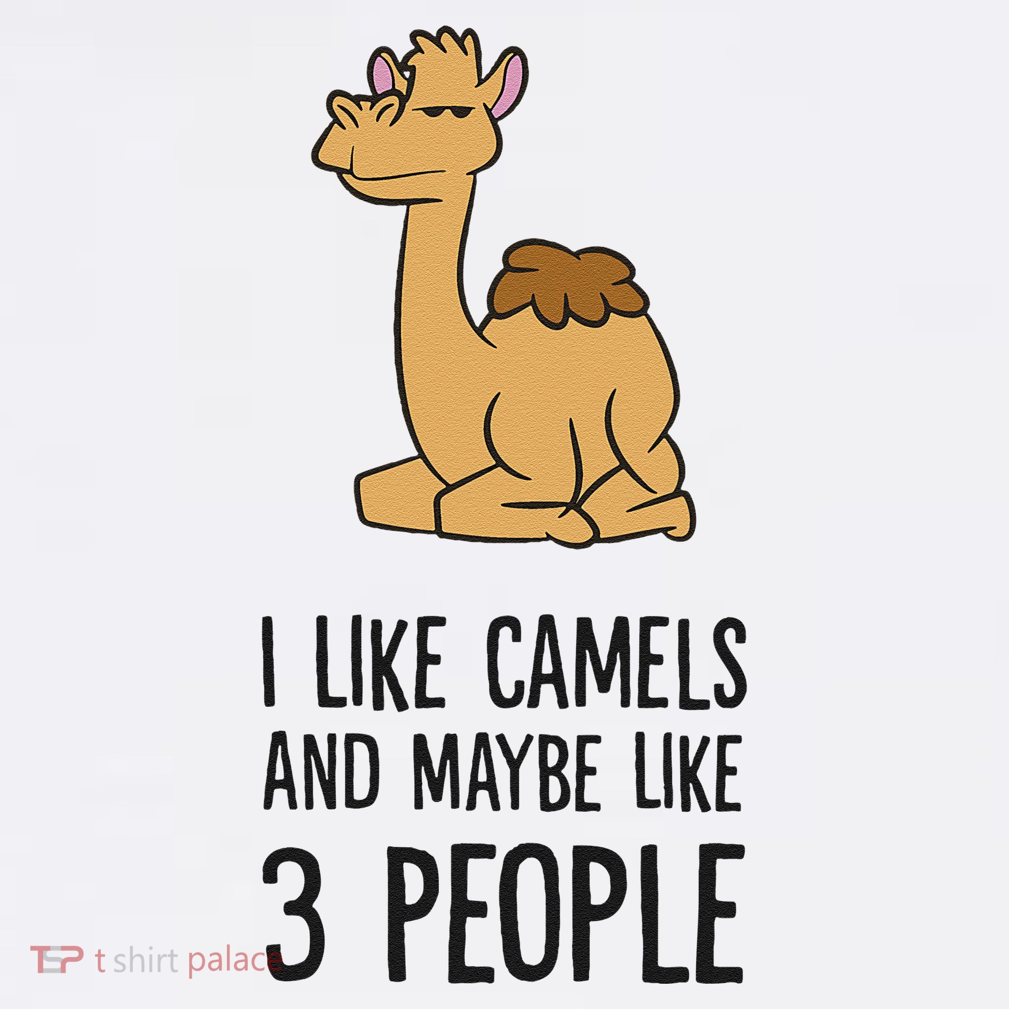 I Like Camels And Maybe Like 3 People Funny Camel Women's Hoodie
