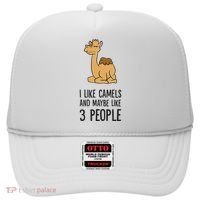 I Like Camels And Maybe Like 3 People Funny Camel Hat thumb 0