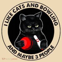 I Like Cats And Bowling And Maybe 3 People Funny Cat Lovers Tote Bag thumb 4