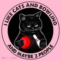 I Like Cats And Bowling And Maybe 3 People Funny Cat Lovers Coaster thumb 2