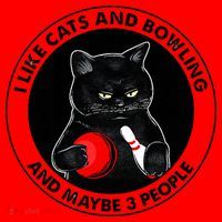 I Like Cats And Bowling And Maybe 3 People Funny Cat Lovers Santa Hat thumb 1