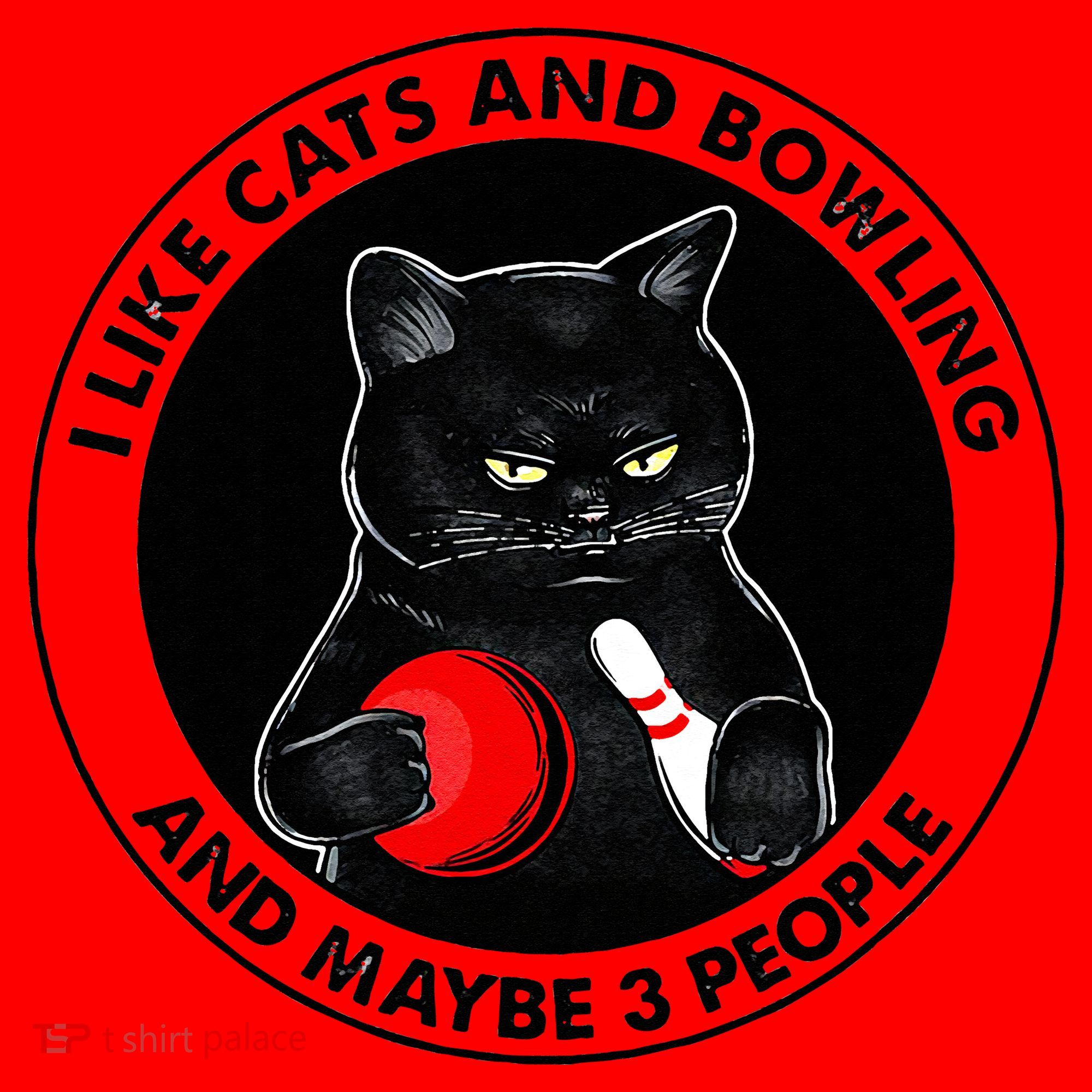 I Like Cats And Bowling And Maybe 3 People Funny Cat Lovers Santa Hat