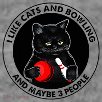 I Like Cats And Bowling And Maybe 3 People Funny Cat Lovers Toddler Hoodie thumb 2