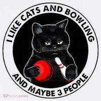 I Like Cats And Bowling And Maybe 3 People Funny Cat Lovers Mousepad thumb 1