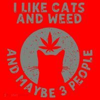 I Like Cats And Weed And Maybe 3 People 420 Day cannabis Santa Hat thumb 1