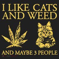 I Like Cats And Weed And Maybe 3 People Hat thumb 2