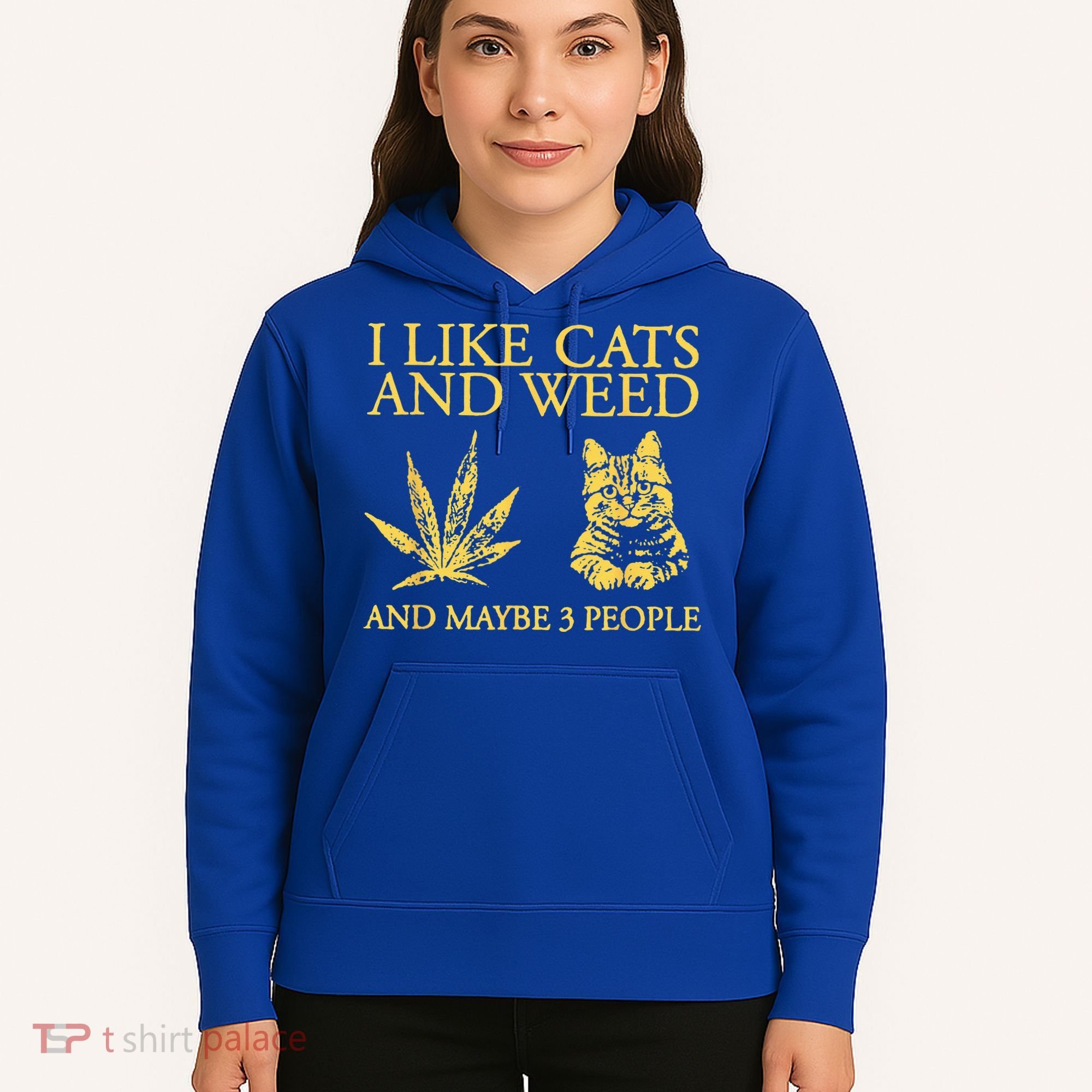 I Like Cats And Weed And Maybe 3 People Hoodie
