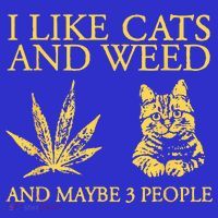 I Like Cats And Weed And Maybe 3 People Sweatshirt thumb 3